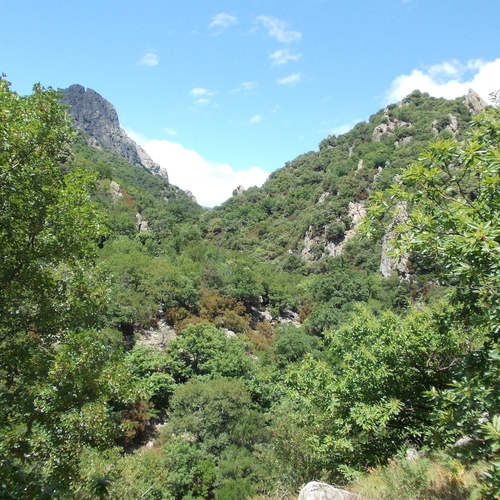 Urlaub Frankreich 2015 (39)